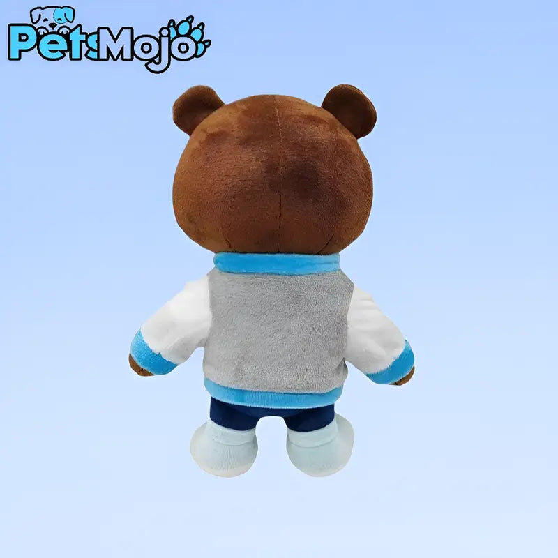 Graduation Bear Pillow