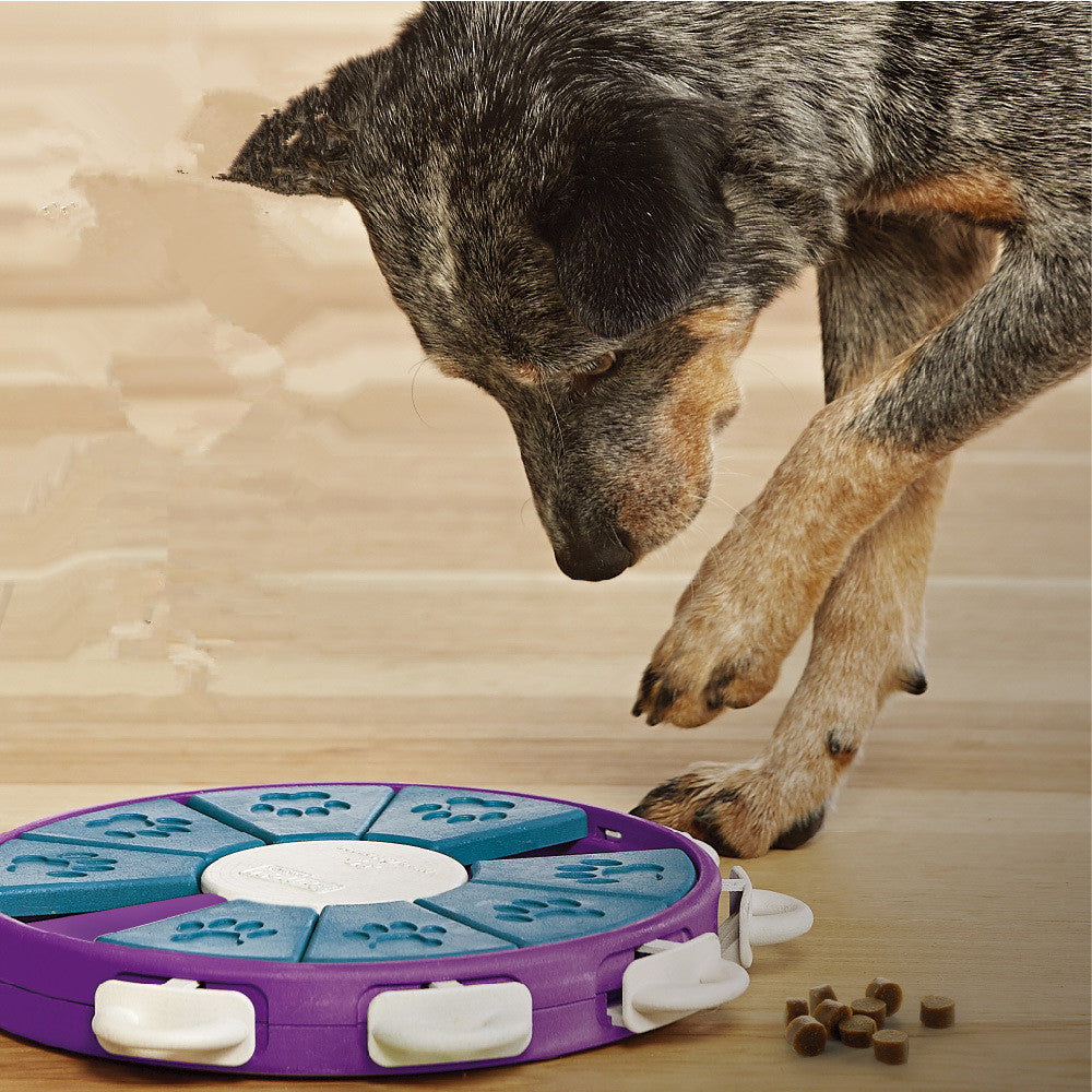 Dog Educational Toy - PETSMOJO