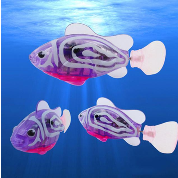 LANTERN FISHES - PETSMOJO