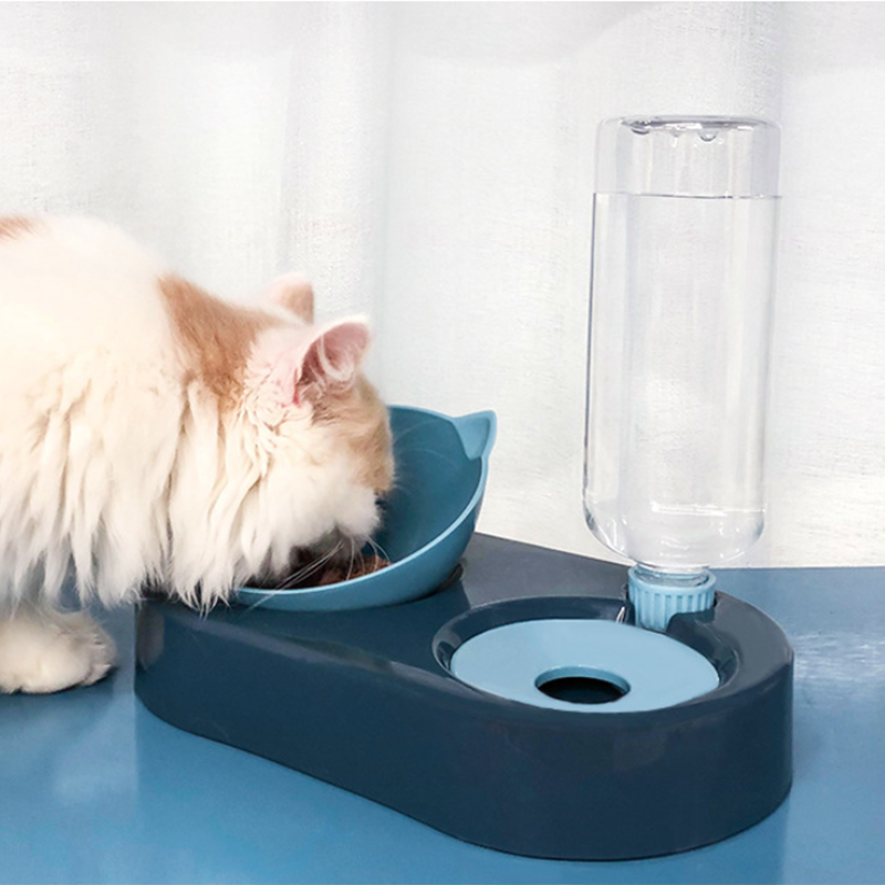 Two-in-One Pet Bowl Water Dispenser - woofmeowmarket