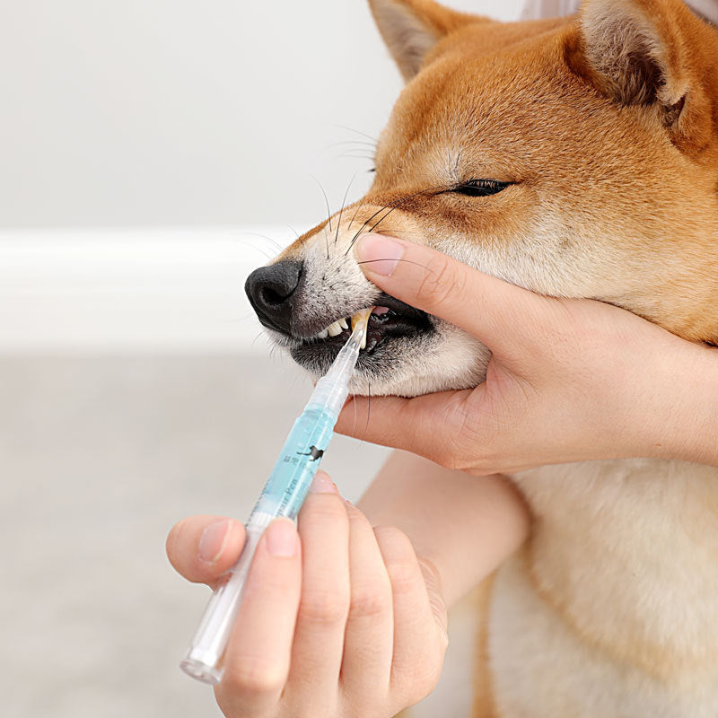 Pet Teeth Repairing Cleaning Pen Kit - woofmeowmarket
