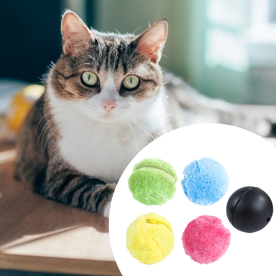 Electric Rolling Ball Toy - PETSMOJO