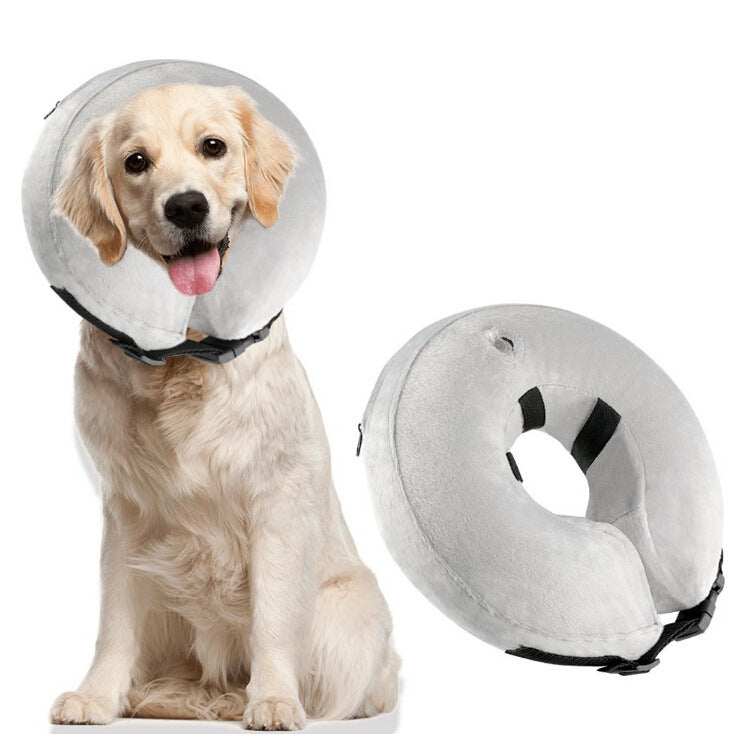 Inflatable Pet Collars - PETSMOJO