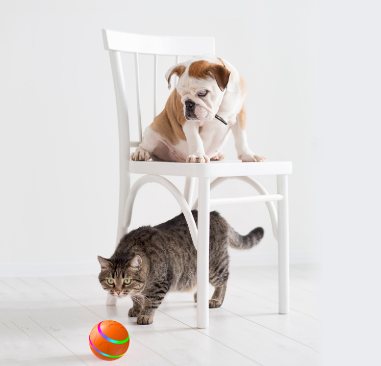 Pet Cat Wicked Ball Toy - woofmeowmarket