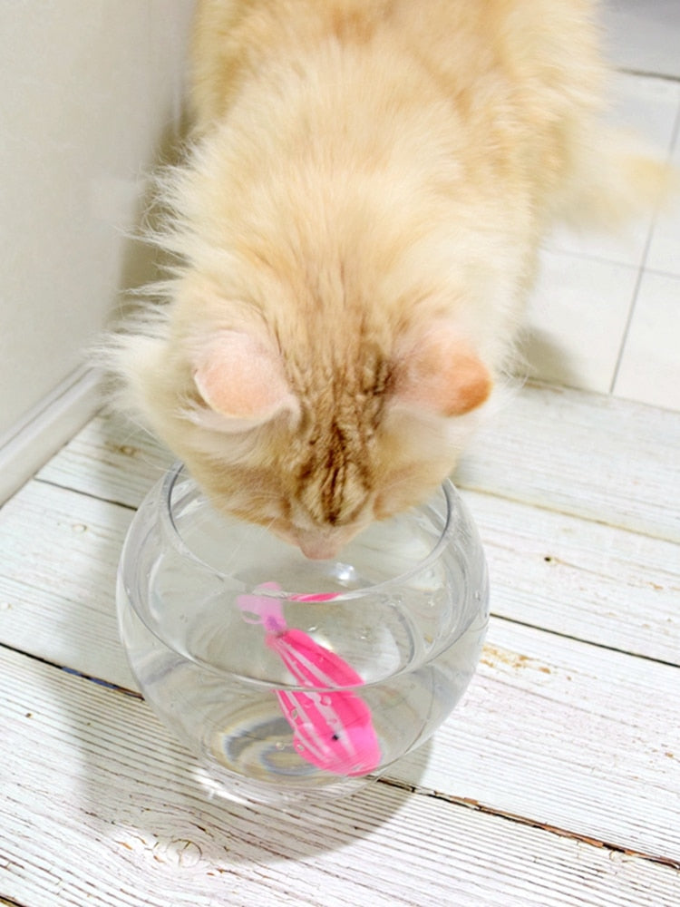 Fish Toy For Cats - PETSMOJO