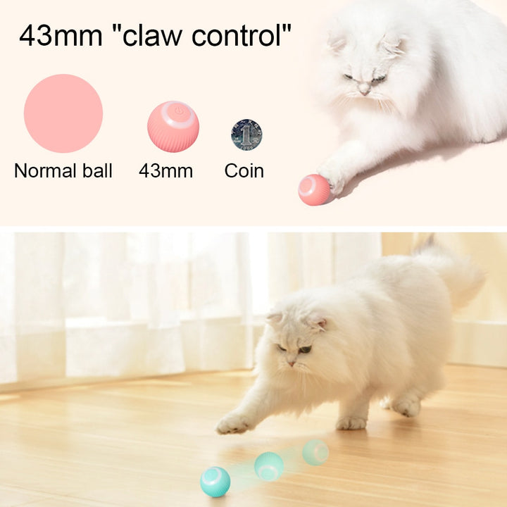 Cat Rechargeable Ball - PETSMOJO