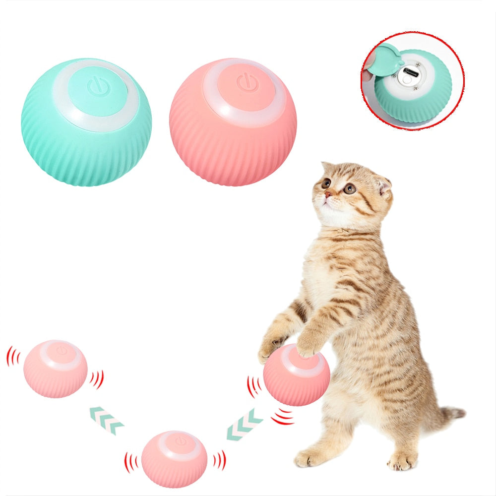 Cat Rechargeable Ball - PETSMOJO