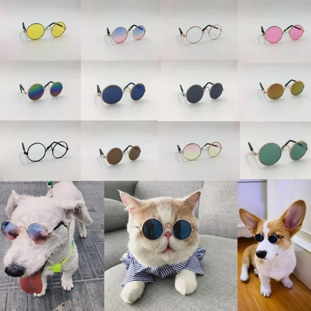 Glasses for Cats and Dogs - PETSMOJO