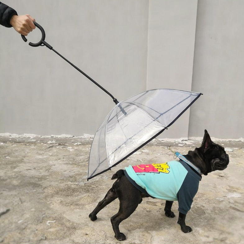 Umbrella Leash for Small Dogs - PETSMOJO