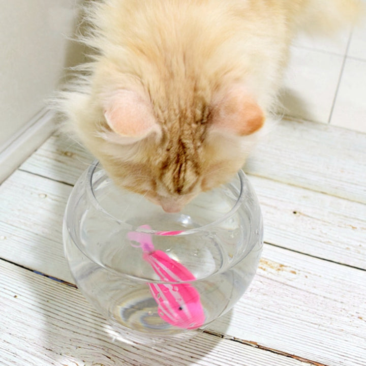 Fish Toy For Cats - PETSMOJO