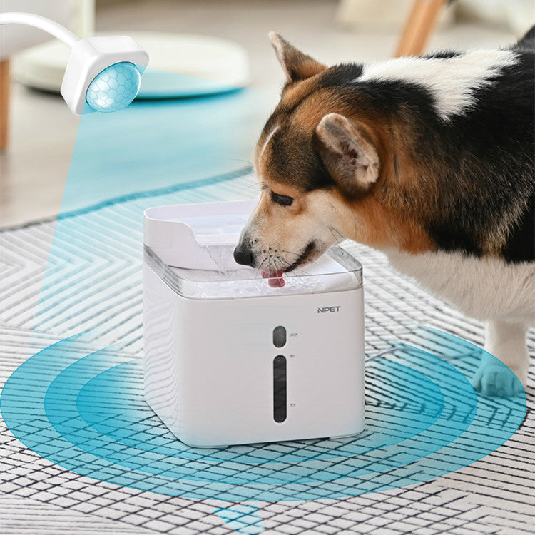 Drinking Water Filtration - PETSMOJO